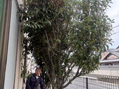 大同運送の日常　滋賀編　（滋賀N部長編）